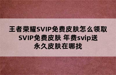 王者荣耀SVIP免费皮肤怎么领取SVIP免费皮肤 年费svip送永久皮肤在哪找